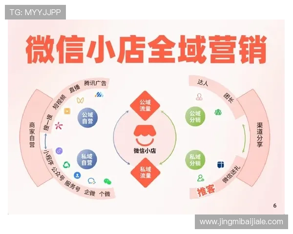 全面解析百家乐的基本玩法规则与实战技巧新手必看指南