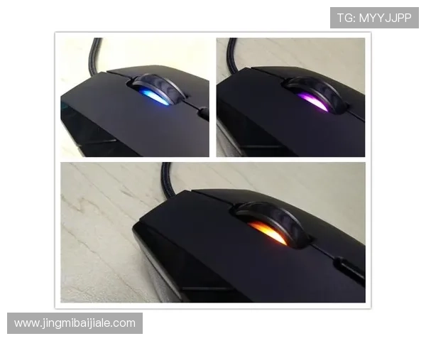 掌握K8娱乐官方下载技巧，轻松获取最新版本游戏资源体验极致娱乐